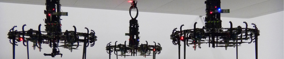Swarm Robotics IRIDIA