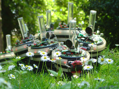 Hippie s-bots