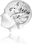 [brain]